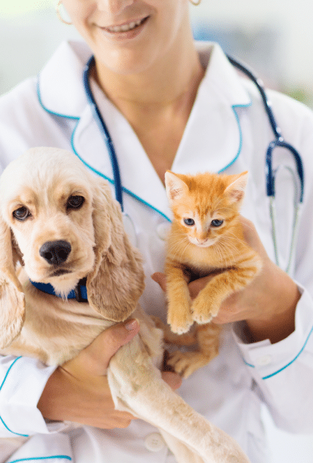 omegavet weterynaria lecznica porady pies kotek